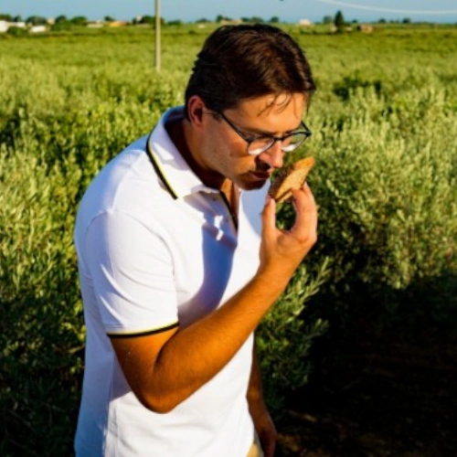 Stefano Amabile odora sentori Olio nuovo su pane - Azienda Agricola Amabile