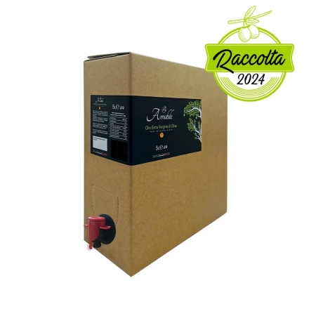 Olio EVO DOP Valle del Belice in Bag Box fronte